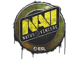 Sealed Graffiti | Natus Vincere | Katowice 2019 | Default