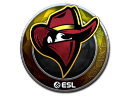 CS2  Renegades 