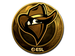 CS2  Renegades 