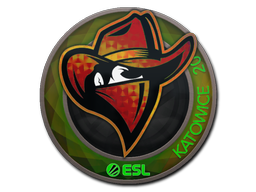CS2  Renegades 