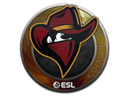 CS2  Renegades 