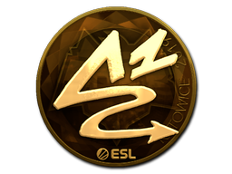 CS2 ANGE1