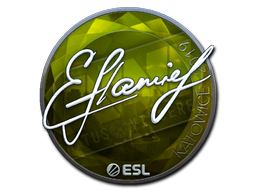 CS2 flamie