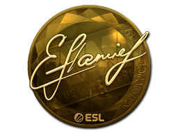 CS2 flamie