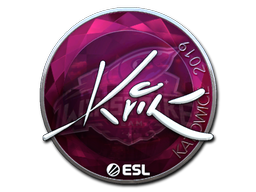 CS2 Kvik