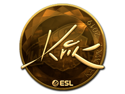 CS2 Kvik