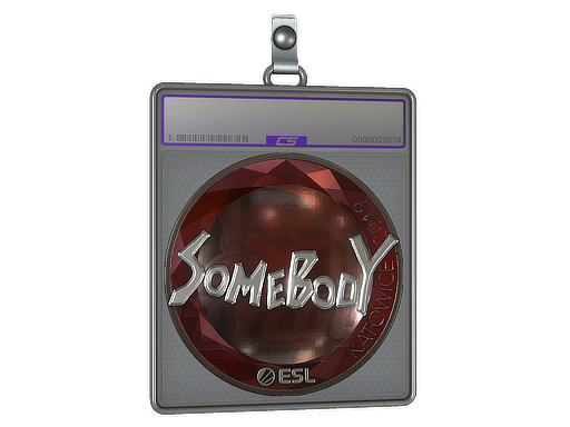 Sticker Slab | somebody | Katowice 2019
