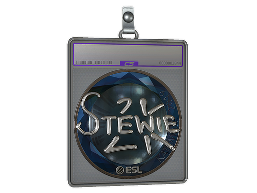 Sticker Slab | Stewie2K | Katowice 2019