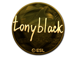 CS2 Sticker | tonyblack | Katowice 2019 - 2