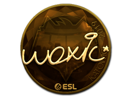 CS2 woxic