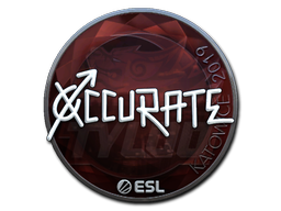 CS2 xccurate