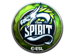 CS2 Team Spirit