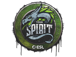 Sealed Graffiti | Team Spirit | Katowice 2019 | Default