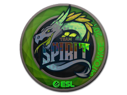 CS2 Team Spirit