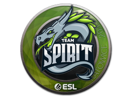 CS2 Team Spirit
