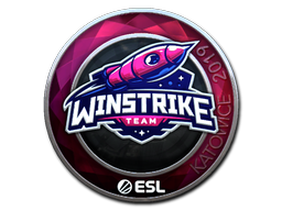 CS2 Winstrike Team