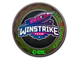 CS2 Winstrike Team