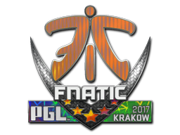 CS2  Fnatic 