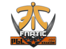 CS2  Fnatic 