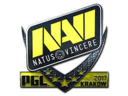 CS2  Natus Vincere 