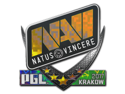 CS2  Natus Vincere 