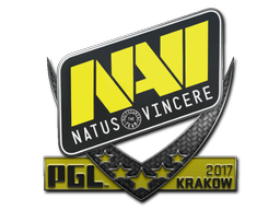 CS2  Natus Vincere 