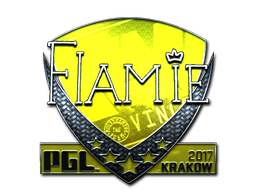 CS2 flamie