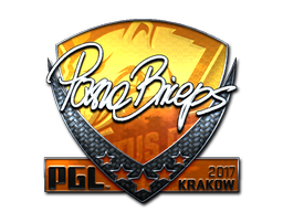 CS2 pashaBiceps