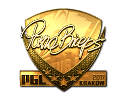 CS2 pashaBiceps