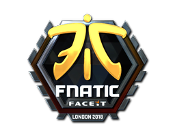 CS2  Fnatic 
