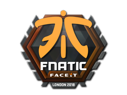 CS2  Fnatic 
