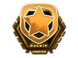 CS2 Gambit Esports