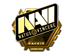 CS2  Natus Vincere 