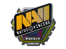 CS2  Natus Vincere 