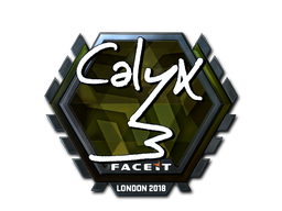 CS2 Calyx