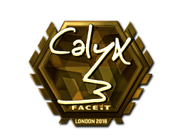 CS2 Calyx