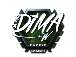 CS2 Dima