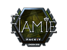 CS2 flamie