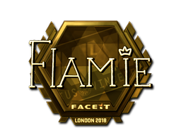 CS2 flamie