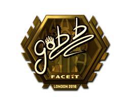 CS2 gob b