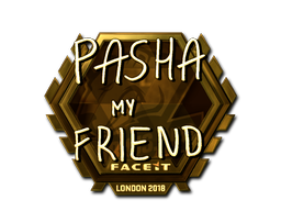 CS2 pashaBiceps
