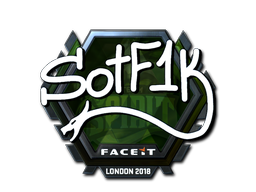 CS2 S0tF1k