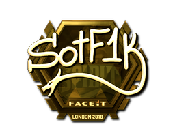 CS2 S0tF1k