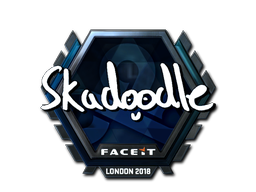 CS2 Skadoodle