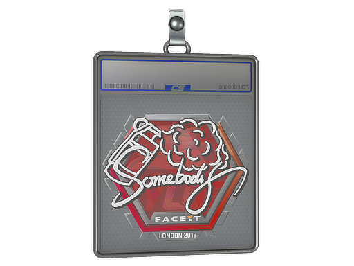 somebody - CS2 Sticker