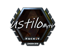 CS2 USTILO