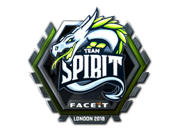 CS2 Team Spirit