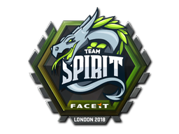 CS2 Team Spirit