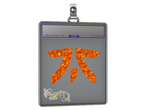  Fnatic  - CS2 Sticker