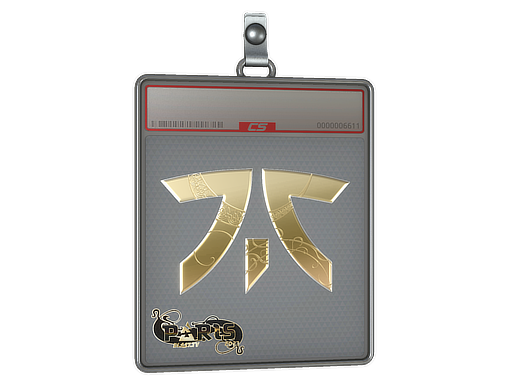  Fnatic  - CS2 Sticker